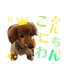 清水家のポテトくん②（個別スタンプ：6）