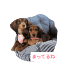 いやされスタンプ（個別スタンプ：3）