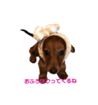いやされスタンプ（個別スタンプ：4）