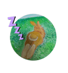 私はうさこ（個別スタンプ：1）