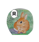 私はうさこ（個別スタンプ：2）