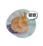 私はうさこ（個別スタンプ：5）