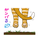 にゃんかな（個別スタンプ：6）