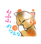 にゃんかな（個別スタンプ：19）