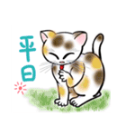 にゃんかな（個別スタンプ：23）