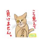 にゃんかな（個別スタンプ：32）