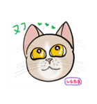 にゃんかな（個別スタンプ：34）