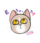 にゃんかな（個別スタンプ：35）