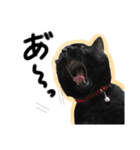 黒猫のもふ ②（個別スタンプ：6）