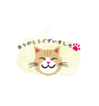 茶トラの茶太郎（個別スタンプ：1）