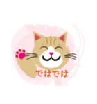 茶トラの茶太郎（個別スタンプ：6）