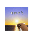かれいくん2（個別スタンプ：5）