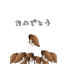 かれいくん2（個別スタンプ：7）