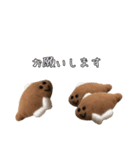 かれいくん2（個別スタンプ：10）