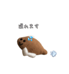 かれいくん2（個別スタンプ：14）