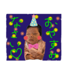 ももさくすたんぷ（個別スタンプ：1）
