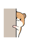 わたしんちのペット（個別スタンプ：1）