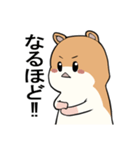 わたしんちのペット（個別スタンプ：7）
