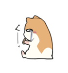 わたしんちのペット（個別スタンプ：26）