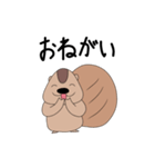 リスたろうのスタンプ2（個別スタンプ：18）