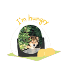 ゆうちゃん わんちゃんスタンプ（個別スタンプ：32）