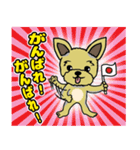 陽気なヨークシャーテリア（個別スタンプ：19）