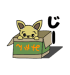 陽気なヨークシャーテリア（個別スタンプ：20）