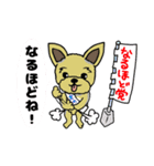 陽気なヨークシャーテリア（個別スタンプ：24）