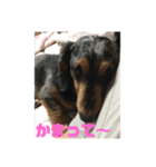 ゆずきち はなぺい スタンプ☆（個別スタンプ：5）