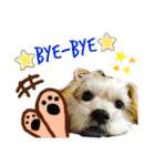 愛犬ときどき愛猫（個別スタンプ：27）