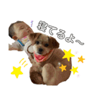 愛犬ときどき愛猫（個別スタンプ：28）