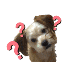愛犬ときどき愛猫（個別スタンプ：35）