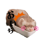 とろもちスタンプ（個別スタンプ：9）