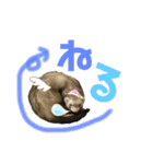 とろもちスタンプ（個別スタンプ：15）
