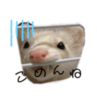 とろもちスタンプ（個別スタンプ：16）