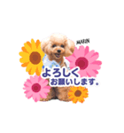 マリンちゃん第1弾（個別スタンプ：2）