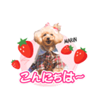 マリンちゃん第1弾（個別スタンプ：3）