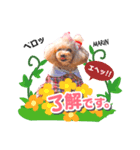 マリンちゃん第1弾（個別スタンプ：4）
