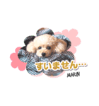 マリンちゃん第1弾（個別スタンプ：6）