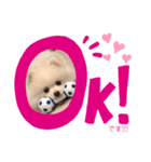 かわいいY（個別スタンプ：5）