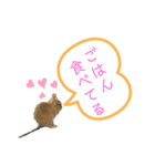 デグーの『まるちゃん』あいさつスタンプ（個別スタンプ：5）