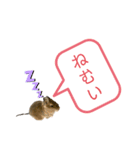デグーの『まるちゃん』あいさつスタンプ（個別スタンプ：7）