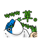 Mr. 魚（個別スタンプ：18）