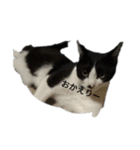 ごまち挨拶①（個別スタンプ：3）