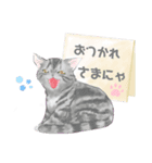 夏目さん家の、うちの子シリーズ1（個別スタンプ：1）
