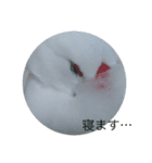 トリバカTV スタンプ第1弾一部、第2弾（個別スタンプ：5）