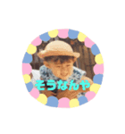 まゆとりゅう（個別スタンプ：7）