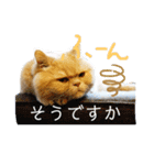 コロンのぽっちゃりスタンプ（個別スタンプ：4）