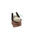 くまのモンフィー（個別スタンプ：2）