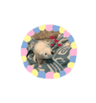 くまのモンフィー（個別スタンプ：3）
